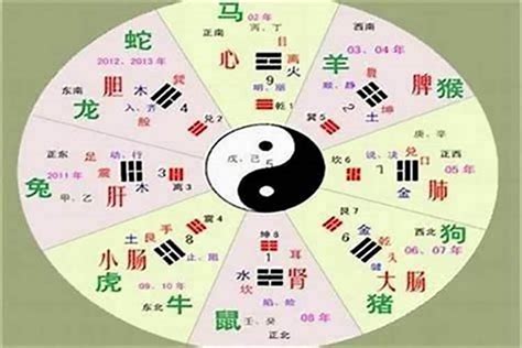 褀五行|洹字的五行属性